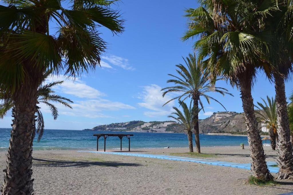 Apartamento 1A Linea Playa Com Piscina Almuñécar エクステリア 写真